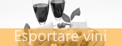 Esportare vini